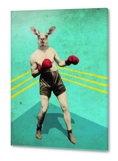 Kang-boxing Acrylic prints by tzigone