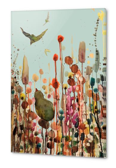 Learning to fly Acrylic prints by Sylvie Demers