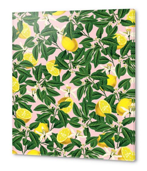 Lemonade Acrylic prints by Uma Gokhale