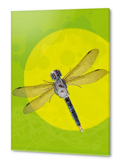 Mecanical Dragonfly Acrylic prints by tzigone