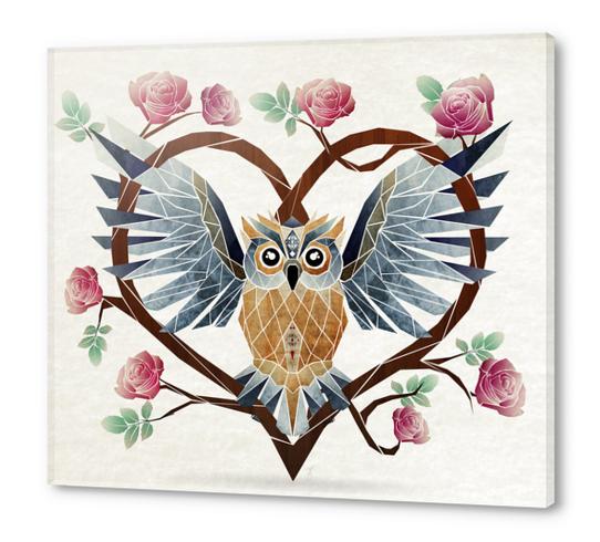 lovely owl Acrylic prints by Manoou