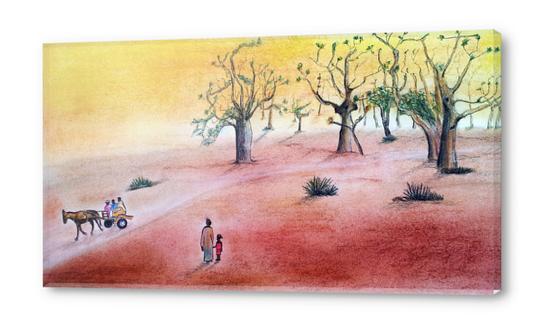 Maimouna forêt Baobabs Acrylic prints by Kapoudjian