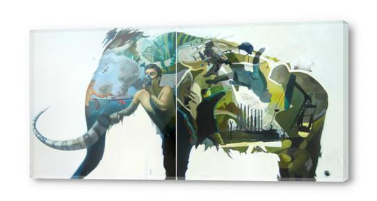 mammoth Acrylic prints by alejandro Saavedra Solano