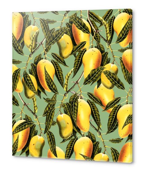 Mango Season Acrylic prints by Uma Gokhale
