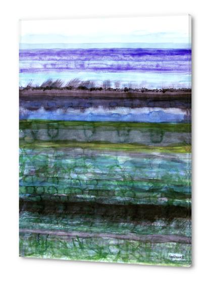 Wetland  Acrylic prints by Heidi Capitaine
