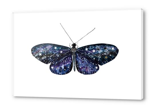 Butterfly Acrylic prints by Nika_Akin