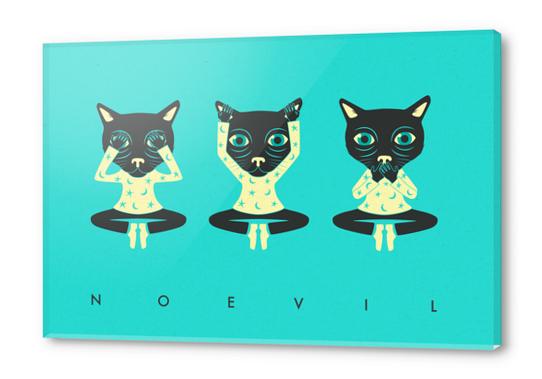 NO EVIL - CATS Acrylic prints by Jazzberry Blue