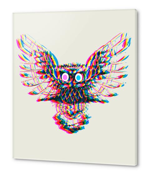 Prism Owl Acrylic prints by Yann Tobey