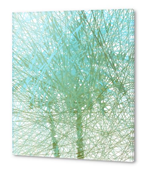 Palm Tree Acrylic prints by Vic Storia