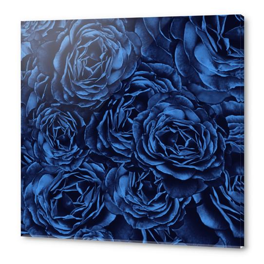 Enchanted Garden - Passion Roses Acrylic prints by Octavia Soldani