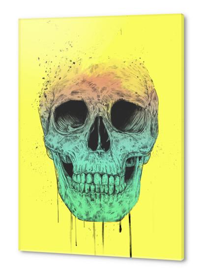 Pop art skull Acrylic prints by Balazs Solti