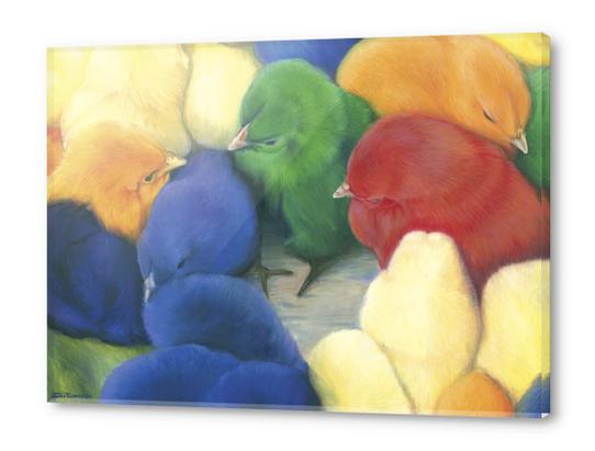 Chicks Acrylic prints by di-tommaso
