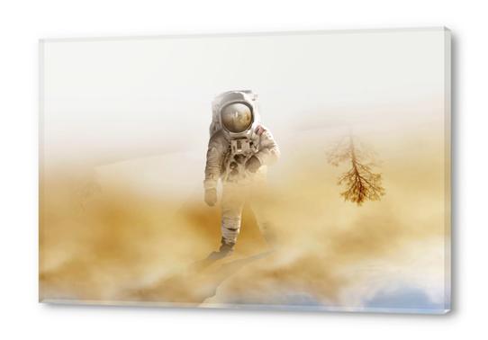 Playing Mars on the desert Acrylic prints by fokafoka