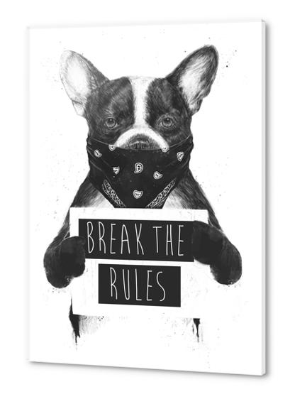 Rebel dog Acrylic prints by Balazs Solti