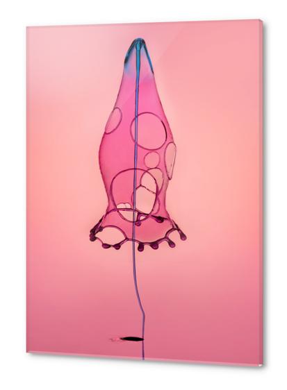 Pink Rocket Acrylic prints by Jarek Blaminsky