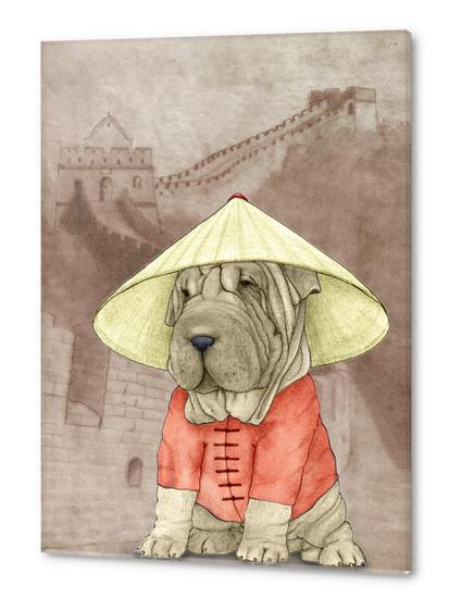 Shar Pei With The Great Wall Acrylic prints by Barruf