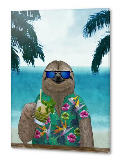 Sloth on summer drinking a mojito Acrylic prints by Barruf