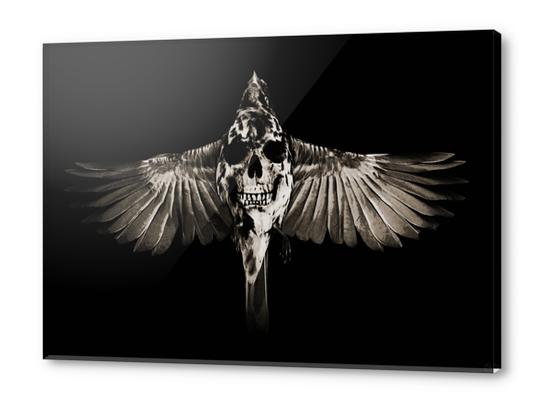 defiance Acrylic prints by Seamless