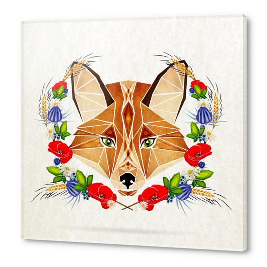 spring fox Acrylic prints by Manoou