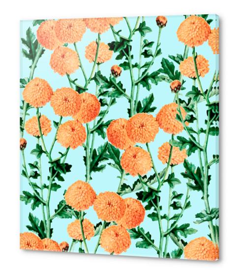 Summer Bloom Acrylic prints by Uma Gokhale