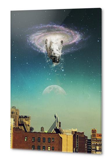 The portal The Arrival Acrylic prints by Seamless