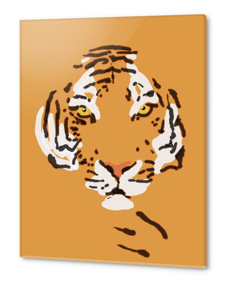 Tiger Acrylic prints by Nicole De Rueda