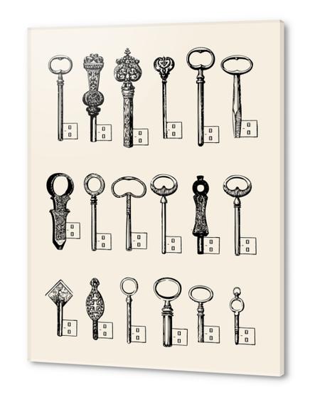 USB Keys Acrylic prints by Florent Bodart - Speakerine