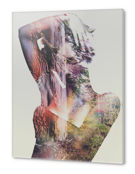 Wilderness Heart Acrylic prints by Andreas Lie