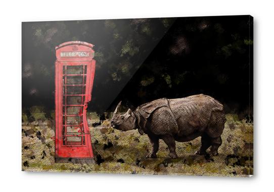 Rhino vs Phone Box Acrylic prints by Galen Valle