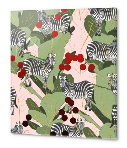 Zebra Harem Acrylic prints by Uma Gokhale