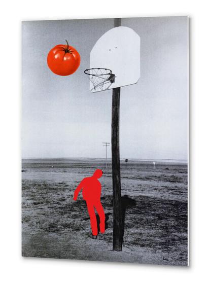 Tomato Metal prints by Lerson