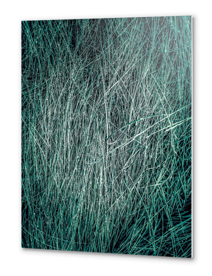 green grass texture abstract background Metal prints by Timmy333