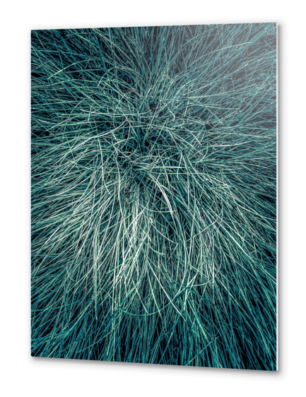 green silky grass texture background Metal prints by Timmy333