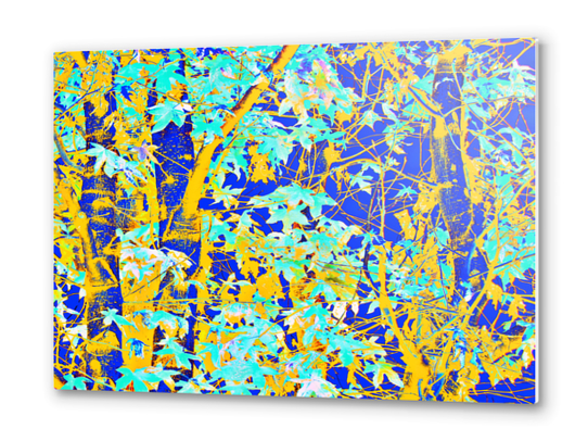 green maple tree leaf with blue and yellow abstract background Metal prints by Timmy333