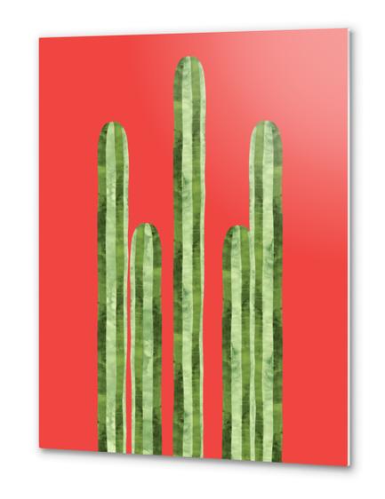 Mexican cacti Metal prints by Vitor Costa