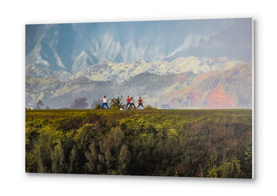 A group of people exercise on the mountain with beautiful view at Kauai, Hawaii Metal prints by Timmy333