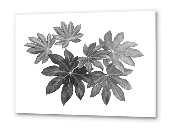 Leaves Metal prints by Nika_Akin