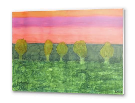 Trees, Green and Evening Sky Metal prints by Heidi Capitaine