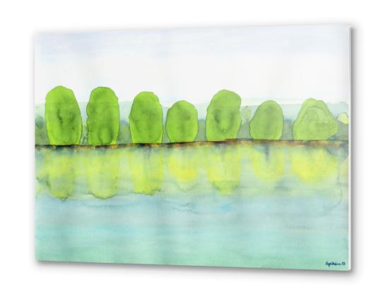 Trees Refecting On The Water  Metal prints by Heidi Capitaine