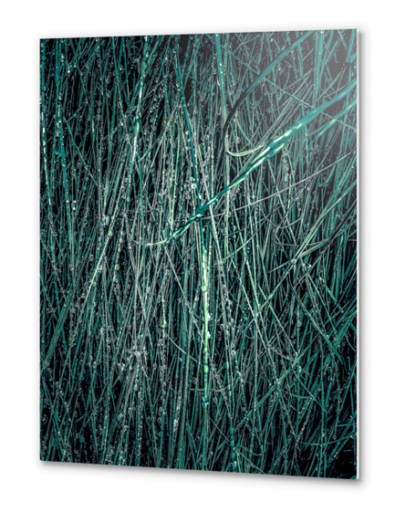 green silky grass texture abstract Metal prints by Timmy333