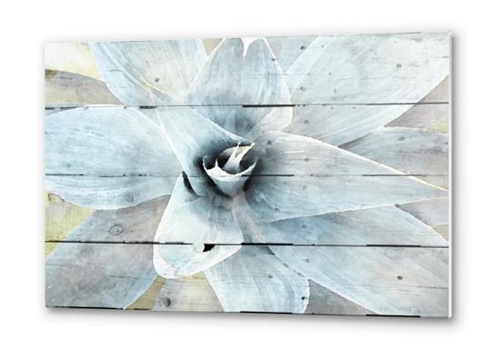 A new begining Metal prints by Irena Orlov