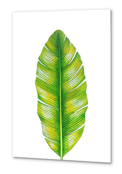 Banana Leaf Metal prints by Nika_Akin