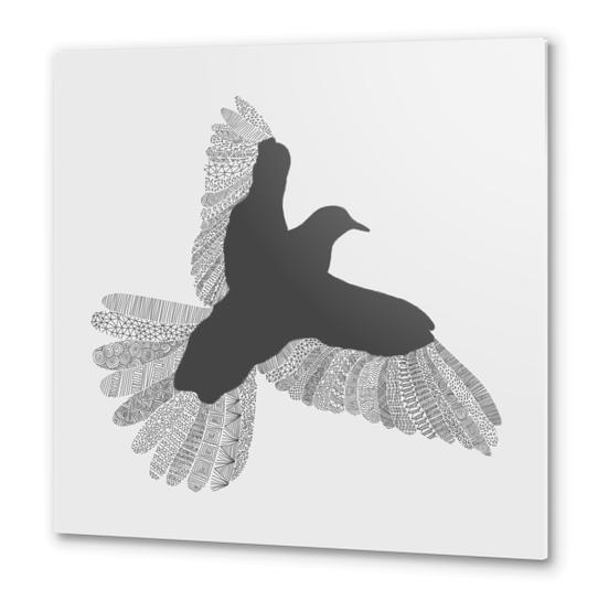 Bird (on grey) Metal prints by Florent Bodart - Speakerine