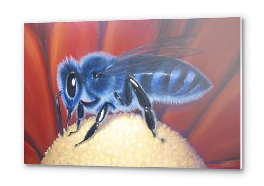 Blue Bee Metal prints by di-tommaso