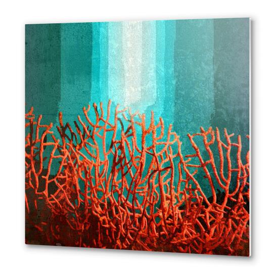 Red Coral Metal prints by Malixx