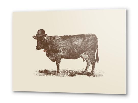 Cow Cow Nut Metal prints by Florent Bodart - Speakerine