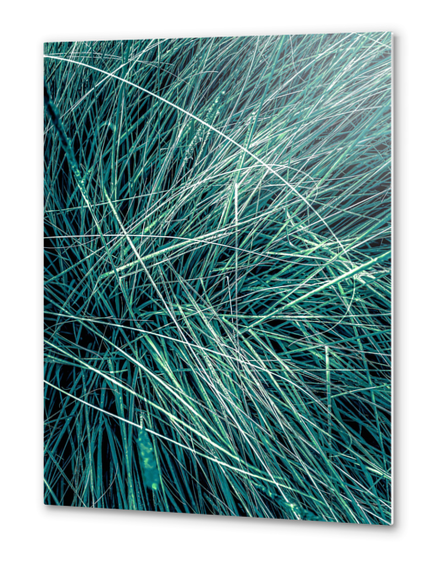 green grass texture abstract background Metal prints by Timmy333