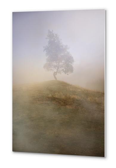 Loneliness at foggy dawn Metal prints by Jarek Blaminsky