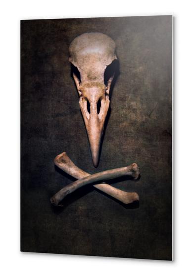 Birdie Metal prints by Jarek Blaminsky