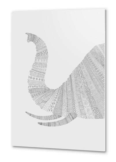 Elephant (on grey) Metal prints by Florent Bodart - Speakerine